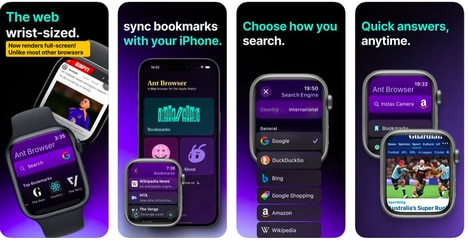 Wrist-Based Web Access