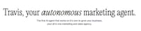 Autonomous Marketing Agents