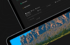 Time Management Systems