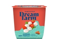 Mini Plant-Based Mozzarella Balls