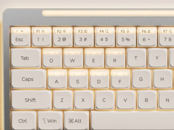 Nics Hesper64(100) Dual-Action フルセット Dual-Action Input