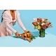 Lush Limited-Edition Gift Bundles Image 1