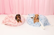 Whimsical Printed Pet Collections