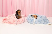 Whimsical Printed Pet Collections Image 2