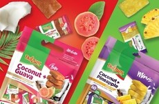 Blended Coconut Snacks