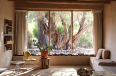 Artist-Honoring Furniture Ranges