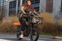Supportive High-Performance eBikes Image 2
