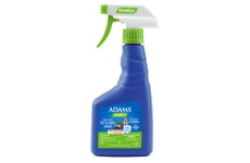 Plant-Based Pet Care Sprays Article Thumbnail