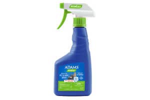 Plant-Based Pet Care Sprays Article Thubnail