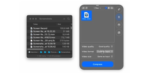 Local File Organizers