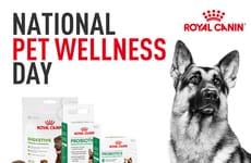 Pet-Focused Supplement Lines