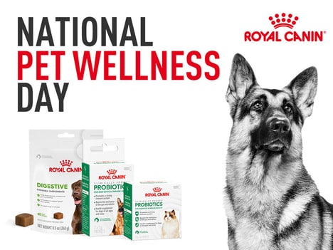 Pet-Focused Supplement Lines