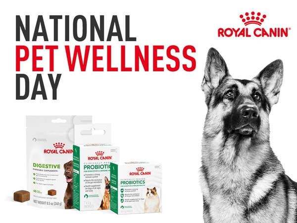 Pet-Focused Supplement Lines