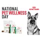 Pet-Focused Supplement Lines Image 1