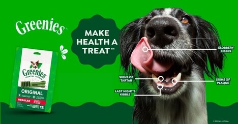 AI Dog Dental Health Tools