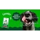 AI Dog Dental Health Tools Image 1