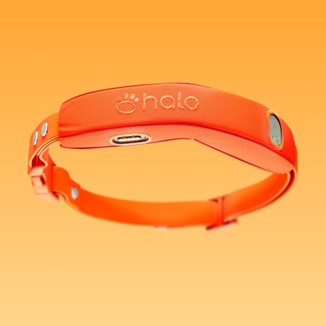 AI-Powered Dog Collars