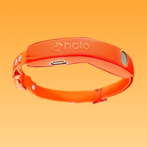 AI-Powered Dog Collars