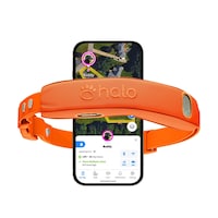 AI-Powered Dog Collars Image 3