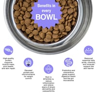 Skin-Supporting Dog Kibble Image 2