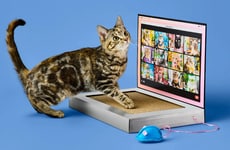 Affordable Pet Products