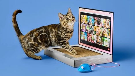 Affordable Pet Products