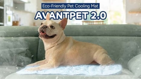 Pet Body Cooling Mats