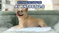 Pet Body Cooling Mats
