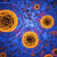 Genome Editing Platforms Image 2
