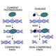 Genome Editing Platforms Image 4