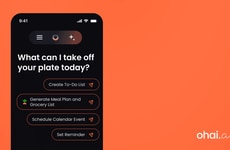 AI Household Assistants