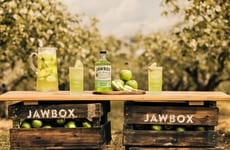 Zesty Fruit Liqueurs