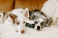 Pet Store Brand Debuts