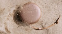 Chic Sustainable Portable Speakers Image 4
