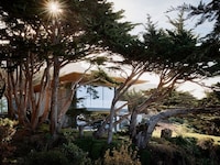 Ocean-Overlooking Perched Residences Image 1
