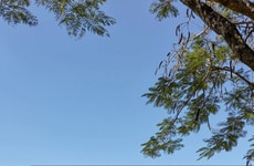 Family-Catered Flexible Residences