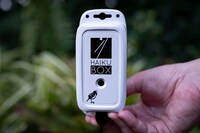 Bioacoustics Products