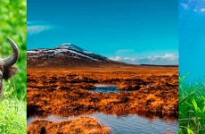 Eco-Friendly Mobile Networks