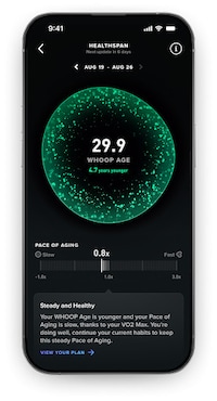 Subtle Ultra-Advanced Health Wearables Image 2