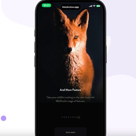 Wildlife Monitoring Tools