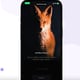 Wildlife Monitoring Tools Image 1