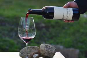 Sustainable Wine Brands Article Thubnail