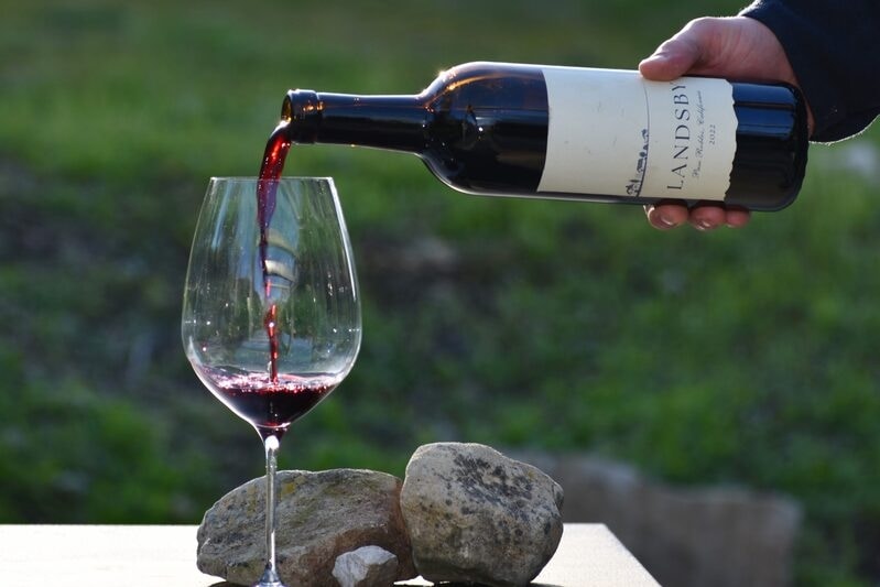 Sustainable Wine Brands Article Thubnail
