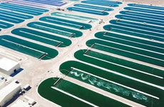 Smart Spirulina Farming Facilities