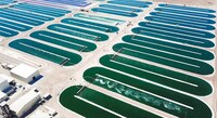 Smart Spirulina Farming Facilities Image 1