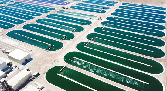 Smart Spirulina Farming Facilities