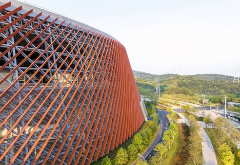 Rooftop Walkway-Topped Buildings
