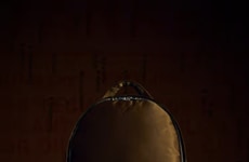 Celebratory Plant-Based Bag Designs