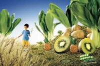 Frightening Food Safety Ads Image 2