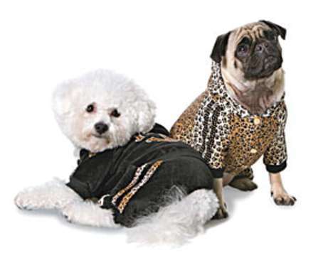 24 Pet-Pampering Innovations